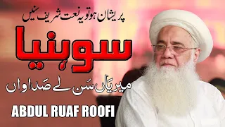 Download Sohneya meriya Sun Le Sadawan Wonderful Punjabi NAAT Sharif Professor Abdur Rauf Roof Best Naats MP3