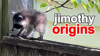 Jimothy the raccoon, Seattle's viral round, cute little buddy.