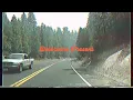 Delorians - Needy (Official Lyric Video)