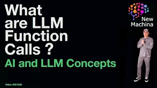 What are LLM Function Calls