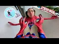 Download Lagu TOP3 SPIDER-MAN VS SPIDER-GIRL IN LOVE in Real Life (Romantic ParkourkPOV Love Story)