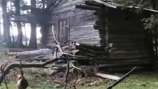 شتاء على نغمة أنا لحبيبي فيروز 