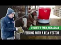 Download Lagu Feeding with a Lely Vector: O'Harte's Farm, Monaghan