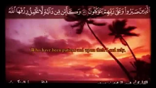 الذين صبروا وعلى ربهم يتوكلون القارئ عبدالرحمن مسعد 