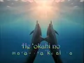 Messages of Aloha: Journey into the hidden realms of Hawai'i