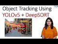 Object Tracking Using DeepSORT and YOLOv5 Multi Object Tracking