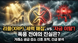[리플 코인] ⚠️ "2026년 비트코인 18만 달러 간다!" 리플 CEO 폭탄 발언과 세력 비밀 매집 공시 유출 대응법