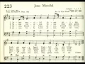 Jesus Merciful (Hubbard)