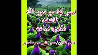 ليس لها من دون الله كاشفه مكرره ساعه خادم القرآن عمرو السيد عبدالدايم 