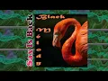 The J.B.'s - Everybody Wanna Get Funky One More Time + All Aboard The Soul Funky Train