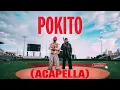 Daddy Yankee and Diljit Dosanjh - POKITO (acapella) #daddyyankee
