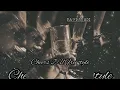 PAYD WADE - CHEERS 2 U FREESTYLE #playa #cheers2u #talent #music #viralvideo