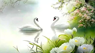 Це не яблуні цвіт не май Перший сніг Весільна пісня 