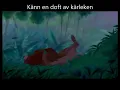 Download Lagu Känn en doft av kärleken - Lejonkungen (LYRICS)