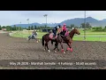 Hastings Racing Club - May 29th Workouts