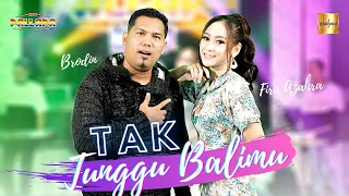 fira azahra ft brodin new pallapa tak tunggu balimu official live music 