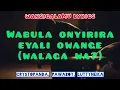 Wansigalamu Lyrics - Crysto Panda x Pawaboy AB x Lutty Neika 