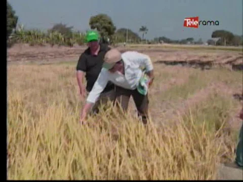 Ecuador Agropecuario 10-01-2017