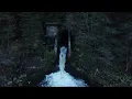 Alan Watts': Revealing the Truth About Jobs and Money with Drone Cinematic Footage