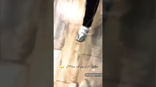 معاكم في ترند حرف الواو ورده 