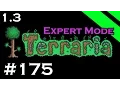 Let s Play Terraria 1 3 Expert Mode - Episode 175