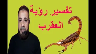 تفسير رؤية العقرب في المنام   اسماعيل الجعبيري دندنها