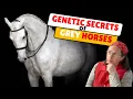 Download Lagu De verrassende reden waarom sommige paarden WIT worden.