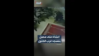 هاجمه كلب بوليسي   قوات الجيش الإسرائيلي تعتدي على شاب داخل مسجد في بلدة ترقوميا غرب الخليل دندنها