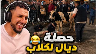 حصلو حصلة ديال لكلاب 😂😂