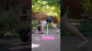 یوگا Dolphin Pose Samin Yoga 
