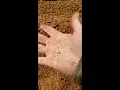 How we use Tractor Supply 40 Pelletized Animal Equine Bedding Part 1