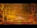 Download Lagu LIETAUS LAŠAI | Robertas Marcinkevičius | DieNmedis