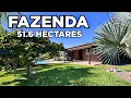 Download Lagu FAZENDA A VENDA NO OESTE DE SANTA CATARINA - CAXAMBU DO SUL/SC R$2.8MI