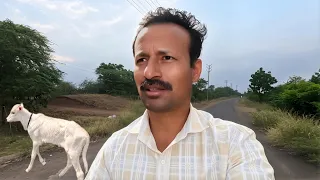 गाईच्या वासराचं काय नाव ठेवलं???...