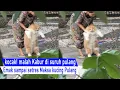 PASTI NGAKAK! kabur di ajak Pulang, Emak sampai belasak sabar Bujuk kucing Pulang/Video Kucing Lucu