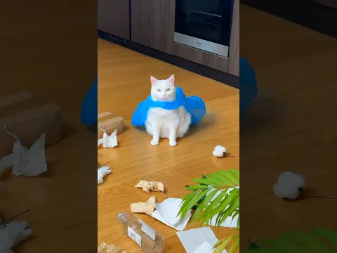 РУГАТЬ ЗА ТАКОЕ? 🙈