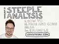 TOOLKIT 3 STEEPLE ANALYSIS IB BUSINESS MANAGEMENT how to pros cons sample example IA