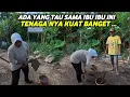 Download Lagu KAGET..JANGAN LIAT PEREMPUAN NYA TENAGA NYA SEPERTI LAKI LAKI BANTUIN ADUKAN UNTUK MASJID AL-FURQON