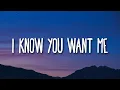 Download Lagu Pitbull - I Know You Want Me (Calle Ocho) (Lyrics)