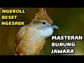 1 JAM TANPA IKLAN | KAPAS TEMBAK GACOR DOR SUARA KERAS TEMBAKAN EMOSI FULL NGAMUK