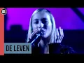 Download Lagu S10 \u0026 Joep Beving - De Leven | Matthijs Gaat Door