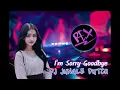 Download Lagu DJ REXZ 2024 | I'M SORRY GOODBYE | JUNGLE DUTCH