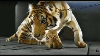 ying yang twins dangerous feat wyclef official music video 