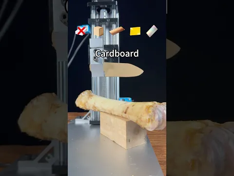 Knife vs Ox Bone