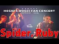 Download Lagu 250711 Spider,Ruby : 호시 우지 팬콘서트 (첫콘) HOSHI X WOOZI FAN CONCERT- SEOUL 직캠 (+가사 Lyrics)
