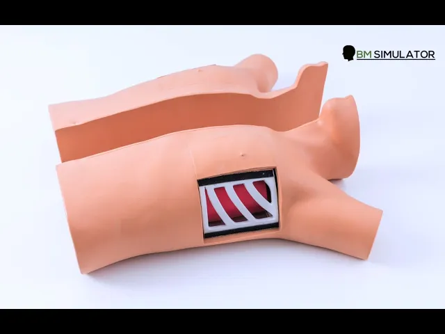 S066 หุ่นฝึกการใส่สายระบายทรวงอก (แบบ 2ชิ้น แยกจากกัน) / Chest Drainage Simulator