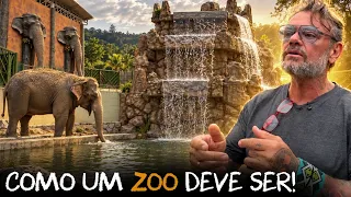 ISSO É O QUE UM ZOOLÓGICO DEVERIA SER!