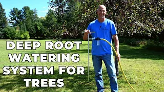 deep root watering tool how to water your trees u0026 shrubs