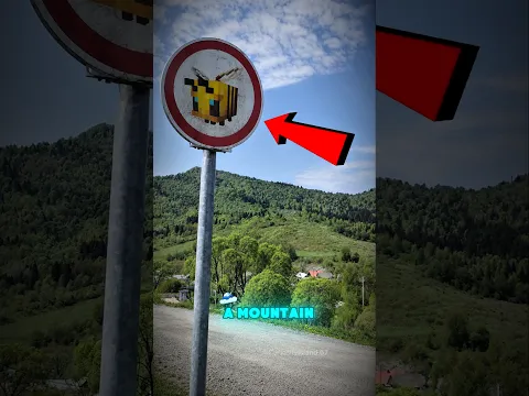 Why Are There Bees on This Minecraft Mountain? 🐝⛰️