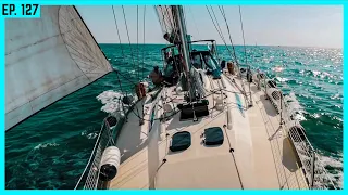 Mode-Gag oder echtes Segelboot? Taugt die seltene Dufour 42 Lacoste was? 🐊 | BootsProfis #127